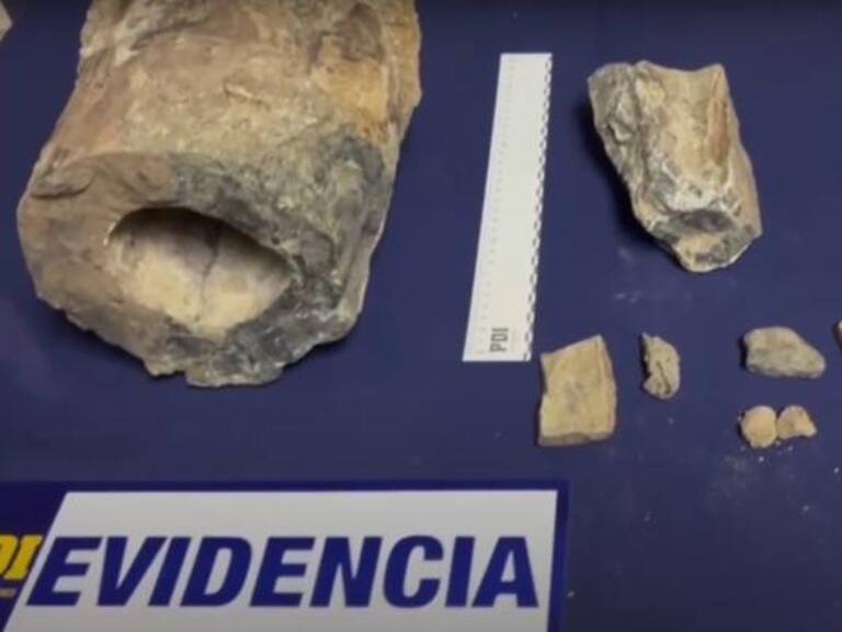 Familia mostraba la colección en TikTok: PDI incautó más de 30 fragmentos fósiles de dinosaurios en San Clemente