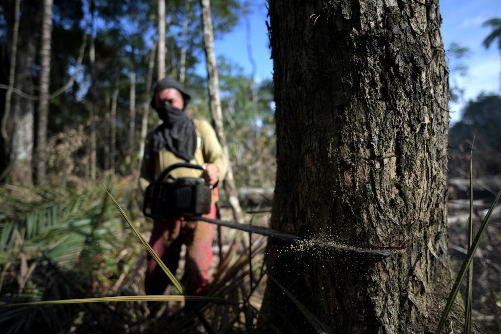 La deforestación de un granjero para plantar coca en la región de Guaviare