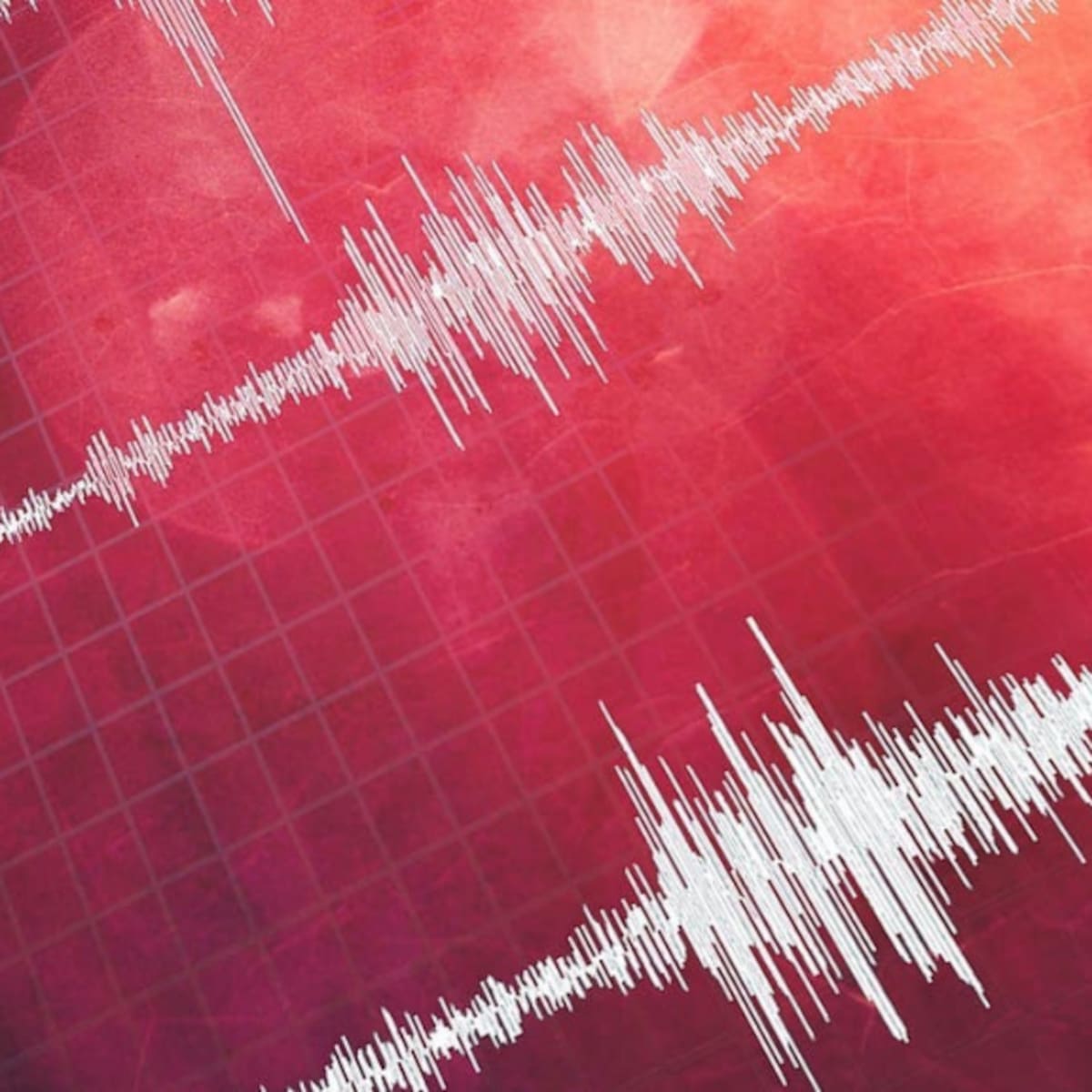 SHOA descarta riesgo de tsunami en costas de Chile tras terremoto 7,2 registrado en Perú