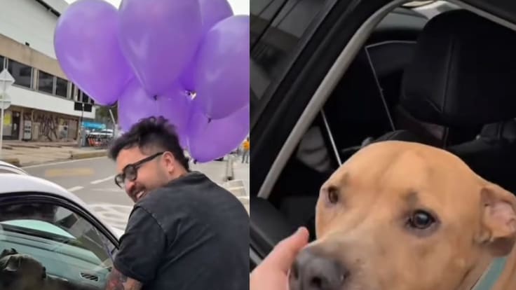 ¡Venció al cáncer! El emotivo registro entre un perro y su compañero que se volvió a viralizar en redes sociales