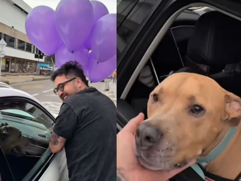 ¡Venció al cáncer! El emotivo registro entre un perro y su compañero que se volvió a viralizar en redes sociales