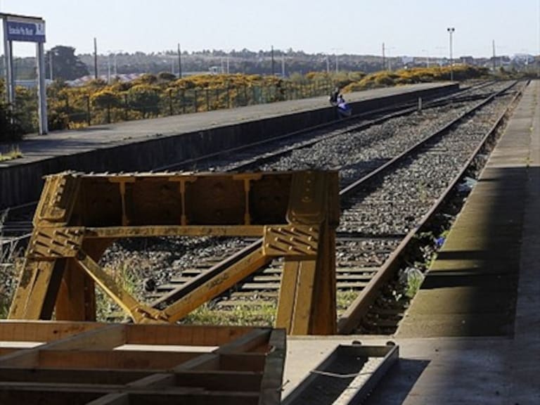 Tren que une Puerto Montt con Alerce y Puerto Varas costaría un 1,5% de la Línea 3 del Metro