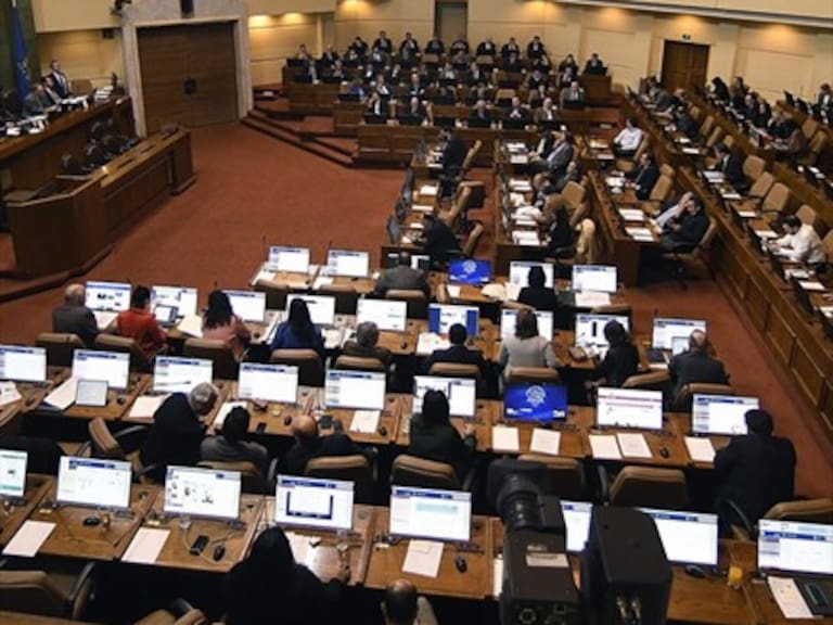 Diputados oficialistas y de oposición piden aumentar pensión básica solidaria en 50%