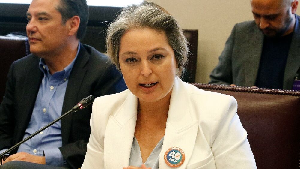 Ministra de Trabajo afirma que reforma previsional será anunciada "en unos días más"