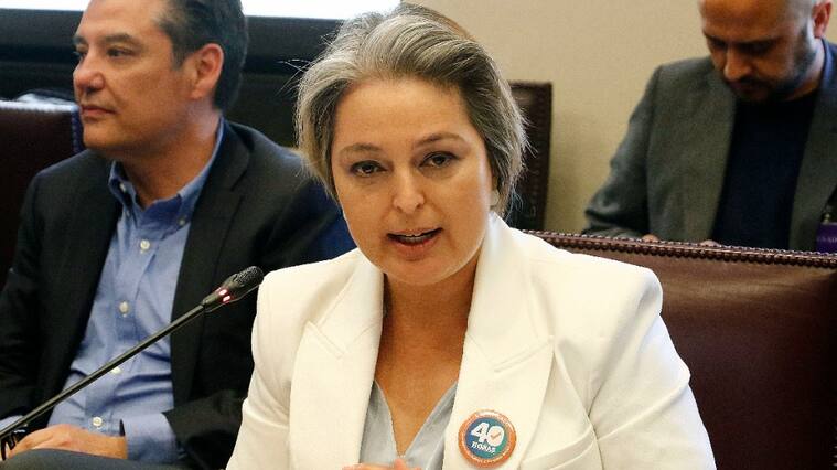 Ministra de Trabajo afirma que reforma previsional será anunciada "en unos días más"