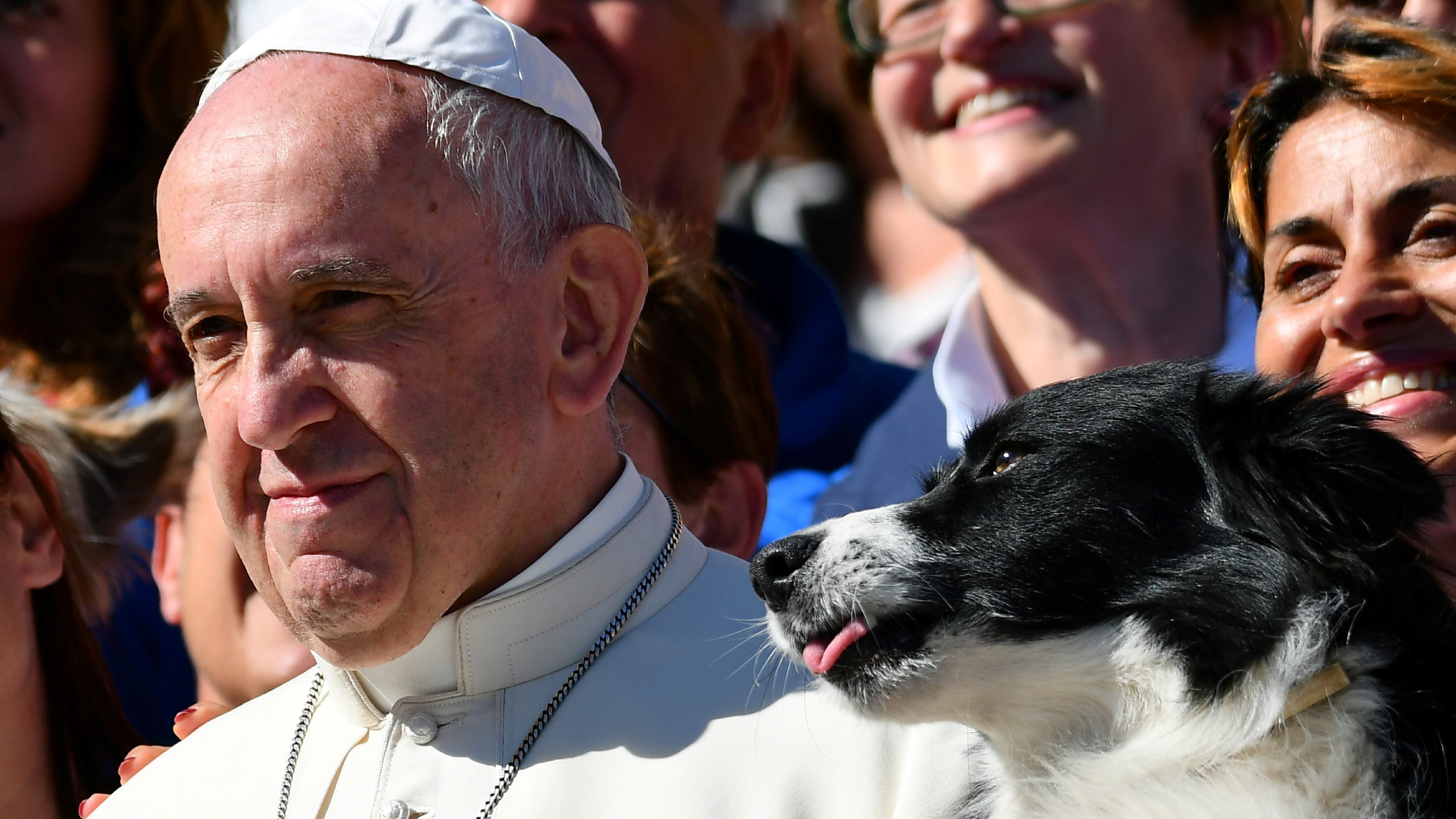Pope Francis poses for a picture next to a dog after his general audience in St Peter's square at the Vatican on October 5, 2016. / AFP / VINCENZO PINTO (Photo credit should read VINCENZO PINTO/AFP via Getty Images)