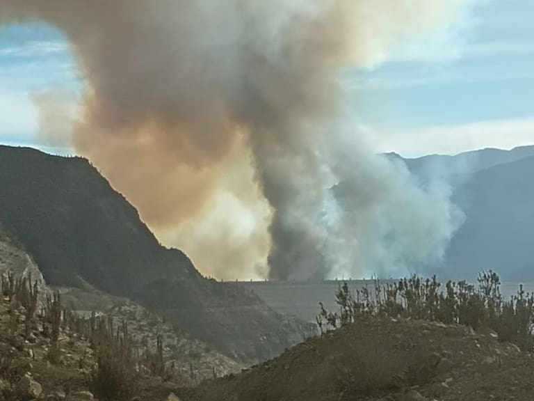 Declaran Alerta Roja en Vicuña por incendio forestal que amenaza a la Central Hidroeléctrica Puclaro