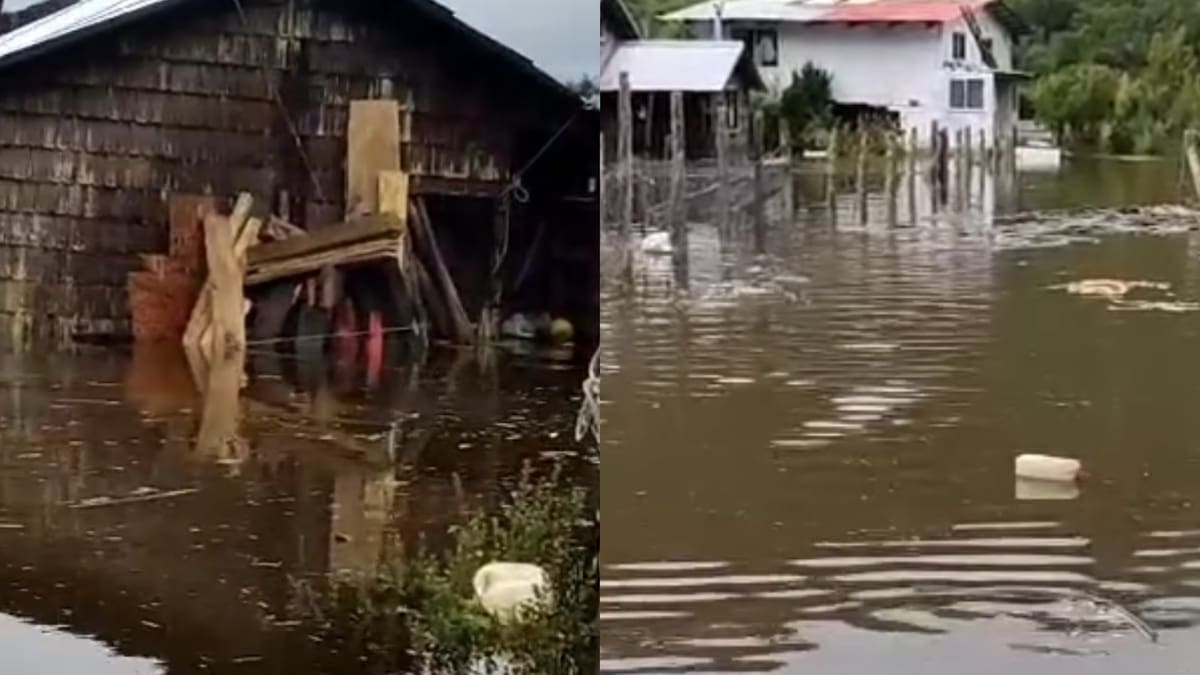 Sistema frontal en el sur Chile: 4 casas quedan inundadas en Purranque por crecida del Río San Pedro
