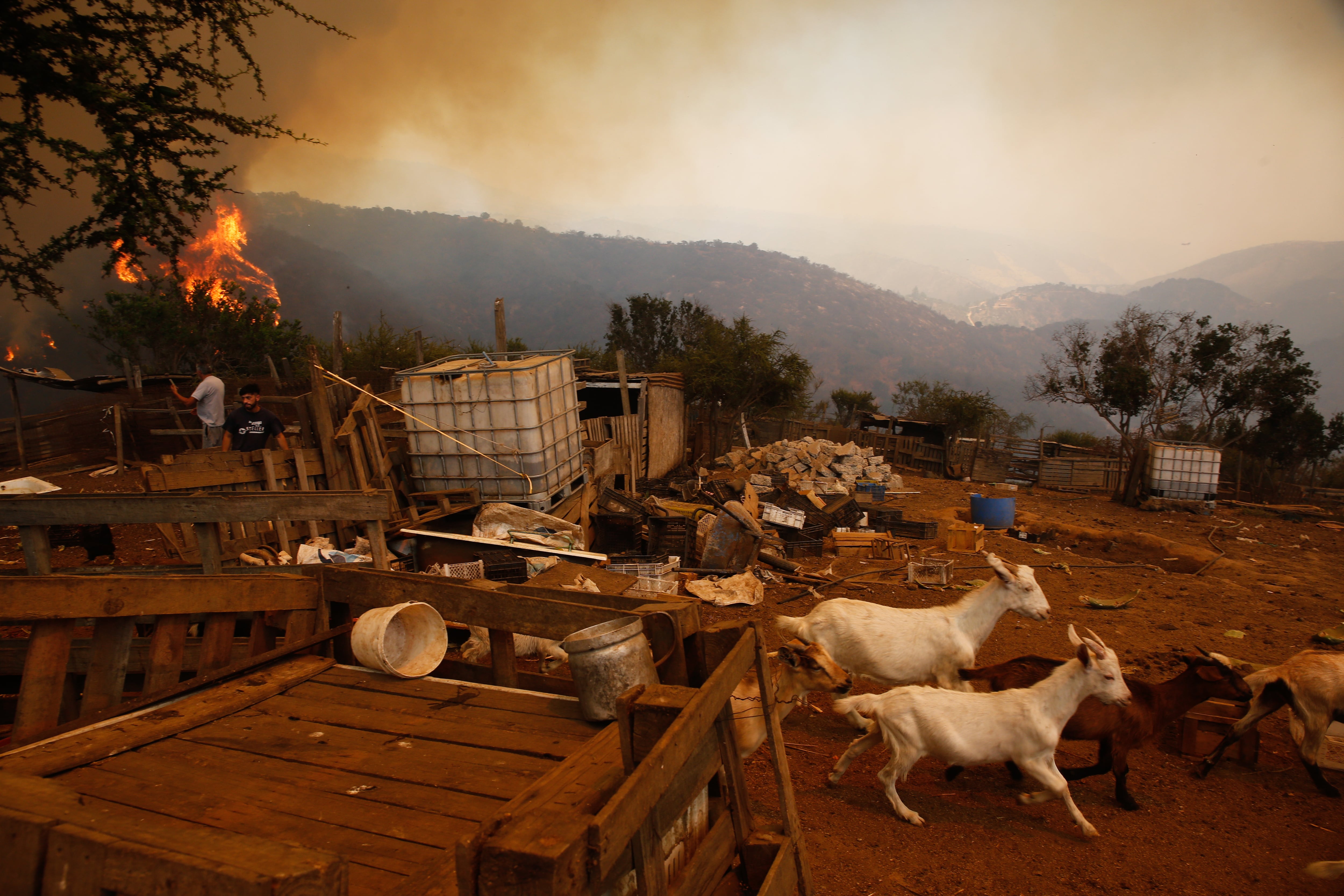 3 DE FEBRERO DE 2024 / VALPARAÍSO
Incendios forestales causan daños en el sector Las Rosas de Quilpué, casas destruidas por el fuego
FOTO: DIEGO MARTIN/AGENCIAUNO