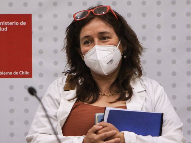 Ministra de Salud María Begoña Yarza