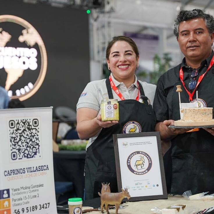 De Ovalle para el mundo: este es el queso de cabra chileno elegido entre los mejores a nivel mundial