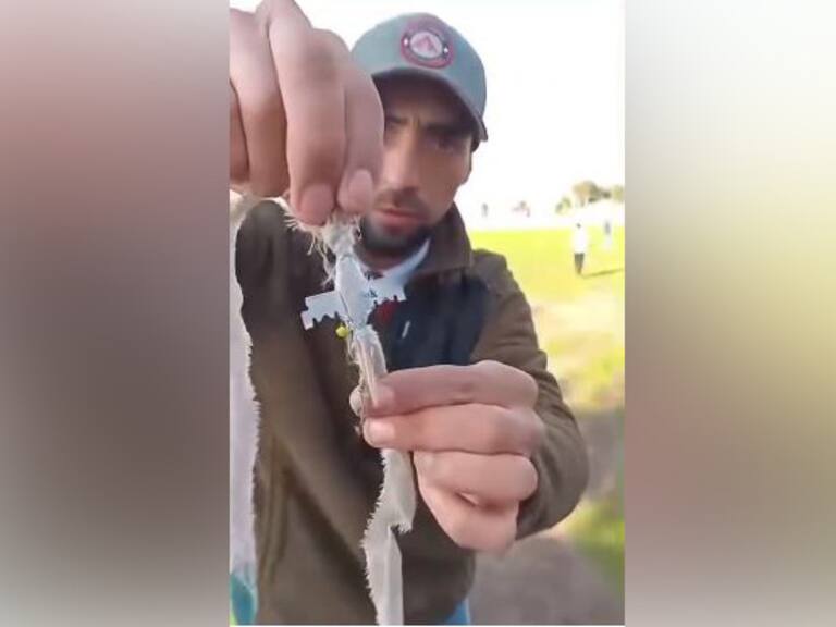 Niños encuentran cinco cuchillas de afeitar amarradas a la cola de un volatín en Curicó