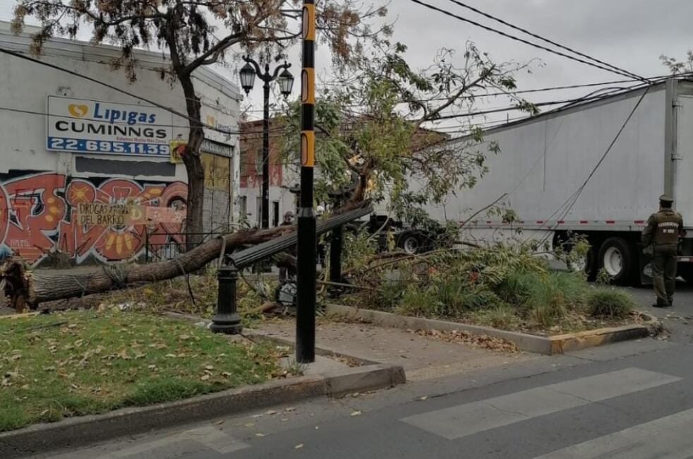 Camión arrastró cables del tendido eléctrico botando postes y árboles en su paso