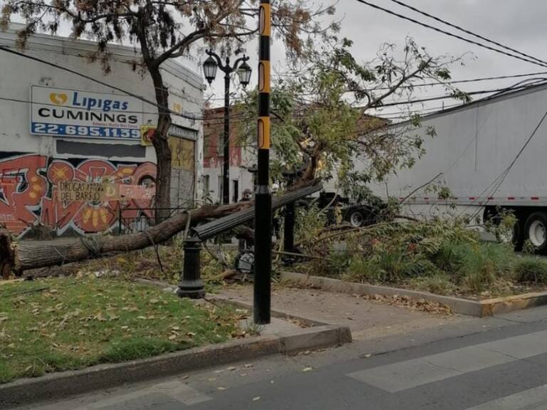 Camión arrastró cables del tendido eléctrico botando postes y árboles en su paso