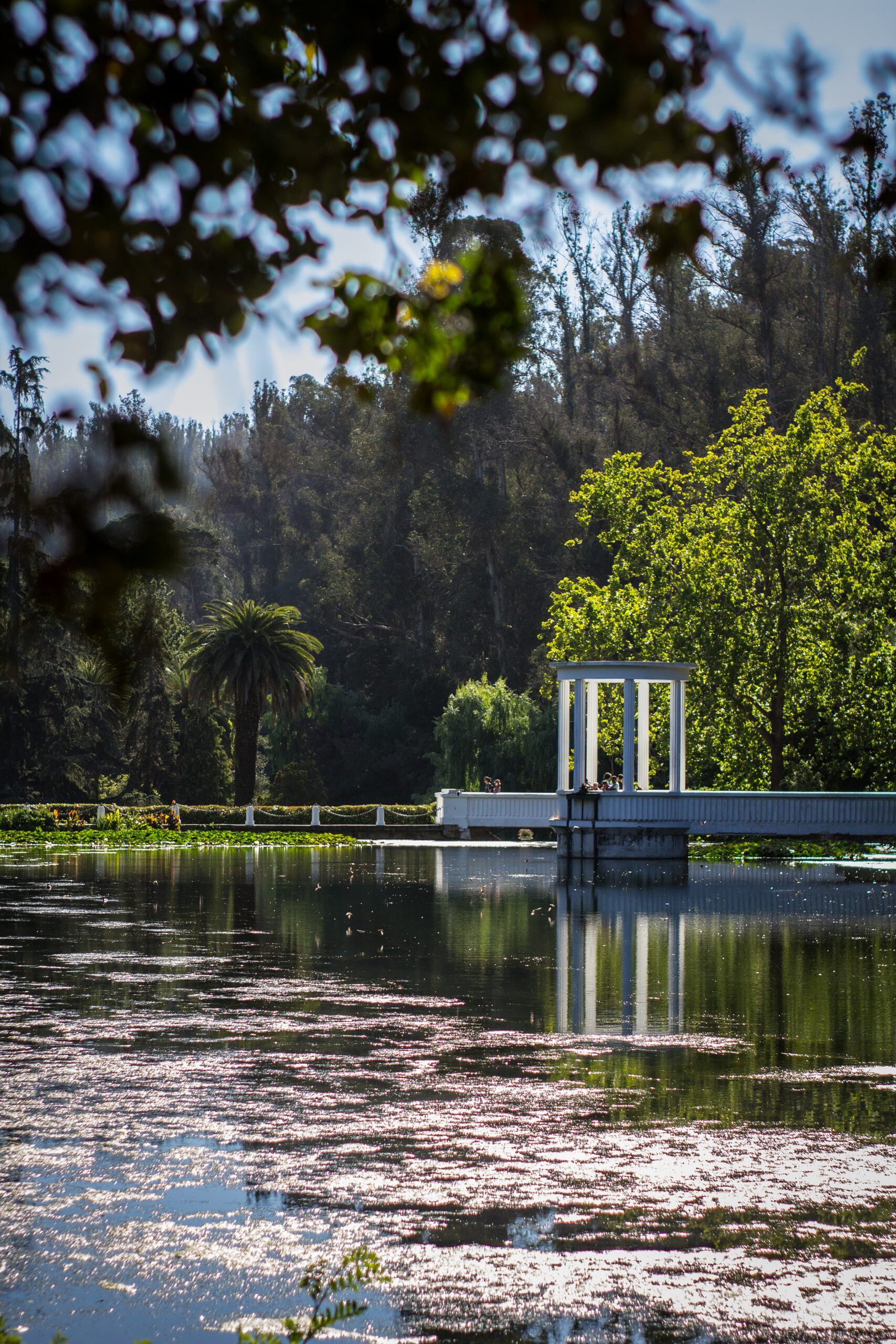 Créditos: Jardín Botánico Nacional de Viña del Mar