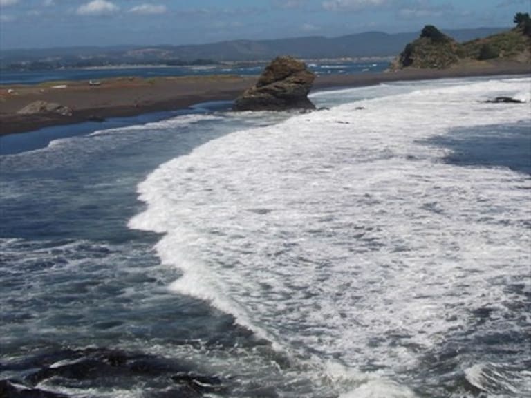 «Ciudadano del mundo»: ballenas, históricas minas de carbón y vida outdoor en la Región del Bio Bio
