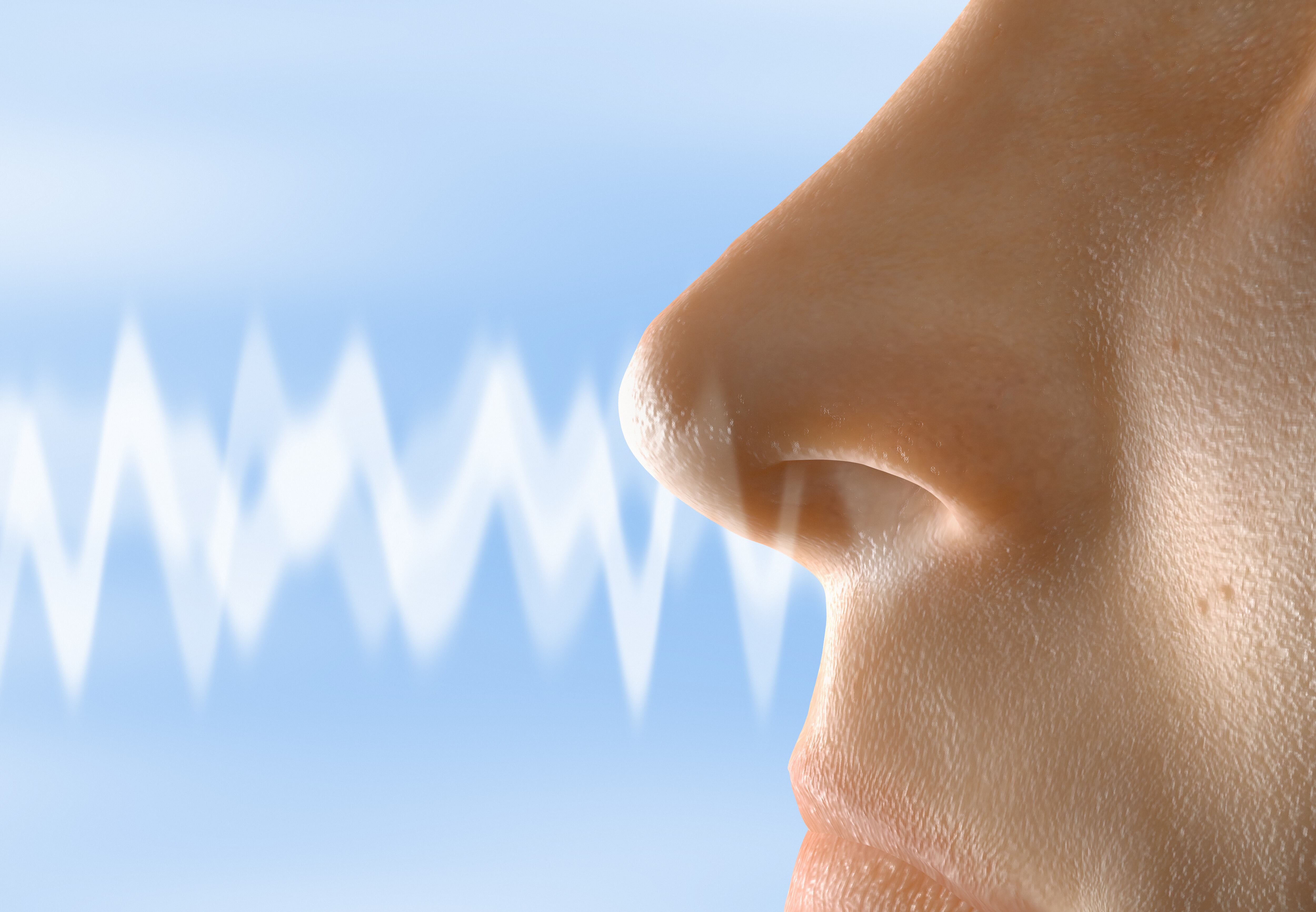 ¿Sientes que respiras más por una fosa nasal que por la otra? La ciencia explica por qué ocurre