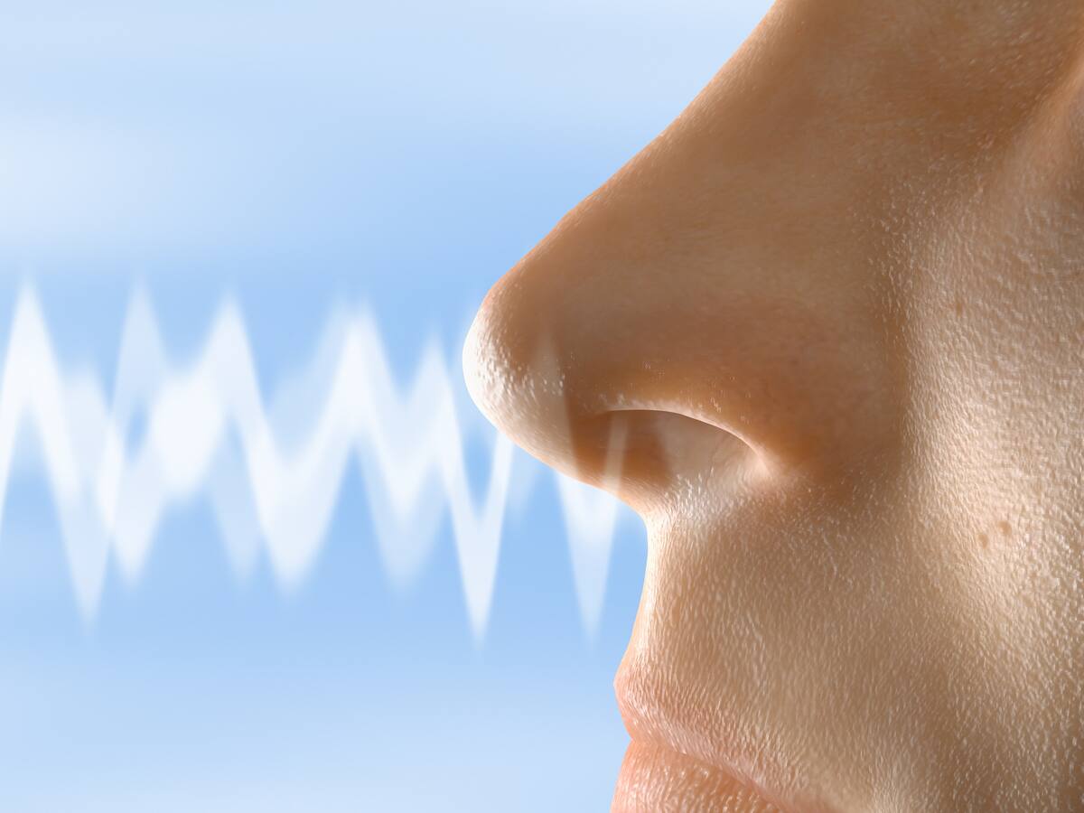 ¿Sientes que respiras más por una fosa nasal que por la otra? La ciencia explica por qué ocurre