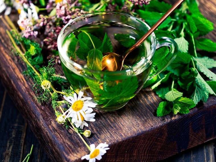 A the cup of lemon balm tea on the wooden table