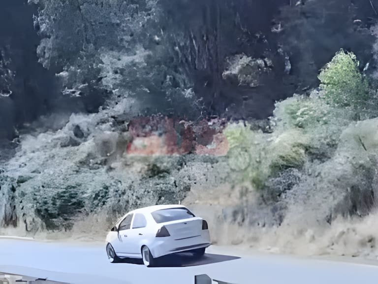 Voluntario de bomberos inicia incendio forestal en La Cruz