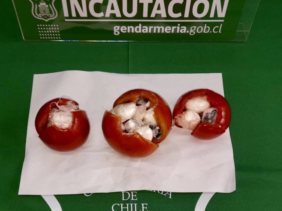 Gendarmes sorprenden a mujeres ingresando tomates rellenos con drogas en encomiendas a reos en cárcel de Temuco