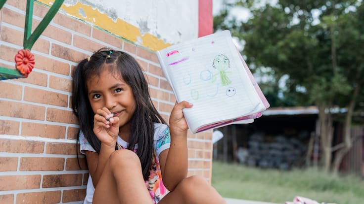 Alerta educativa regional: 1 de cada 4 niños en Chile corre riesgo de no aprender a leer correctamente, pero es el país mejor evaluado de Sudamerica