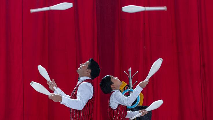 Circo de Tradición Familiar en Chile es declarado Patrimonio Inmaterial de la Humanidad por la Unesco
