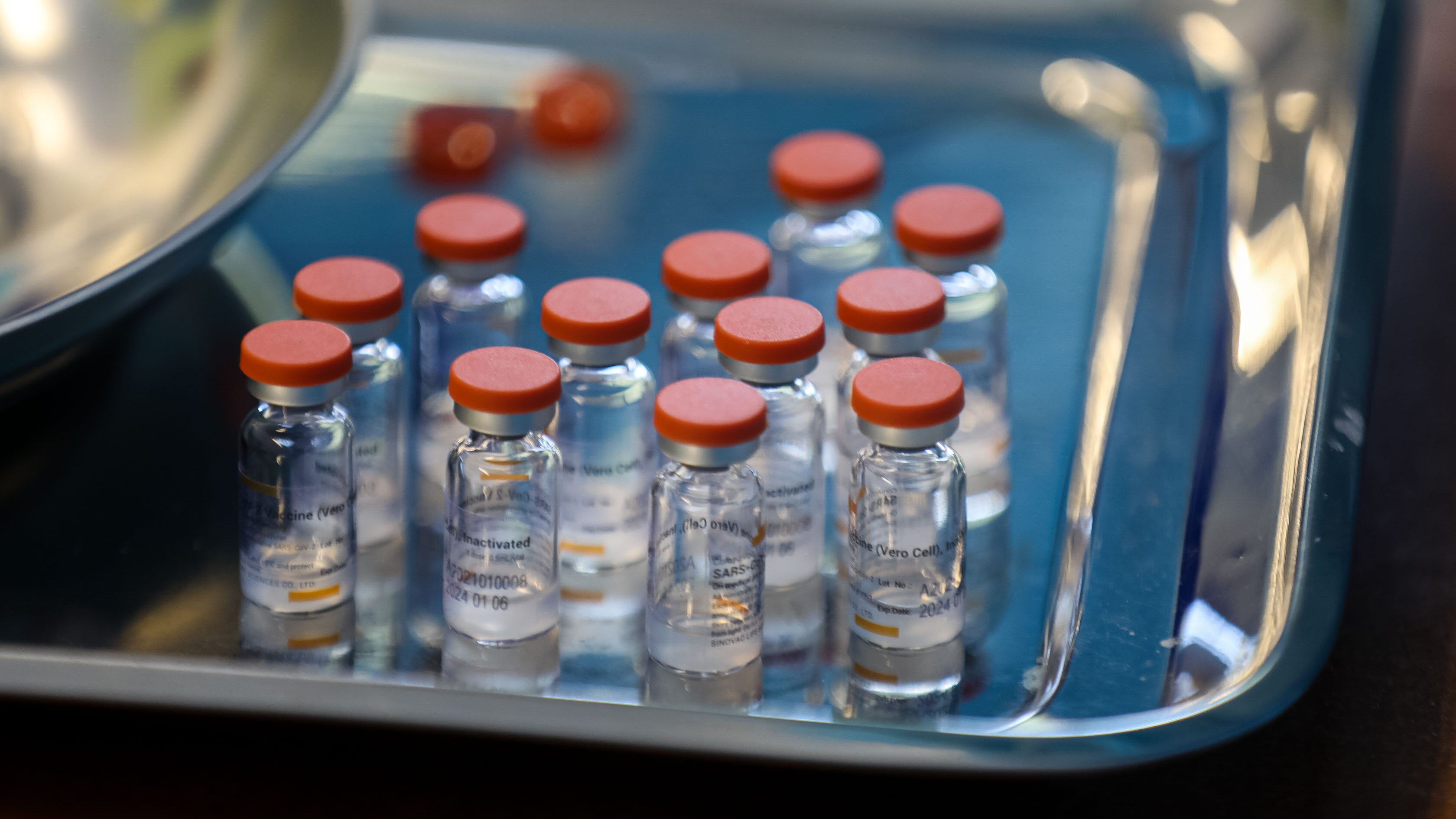Vacunación contra el coronavirus