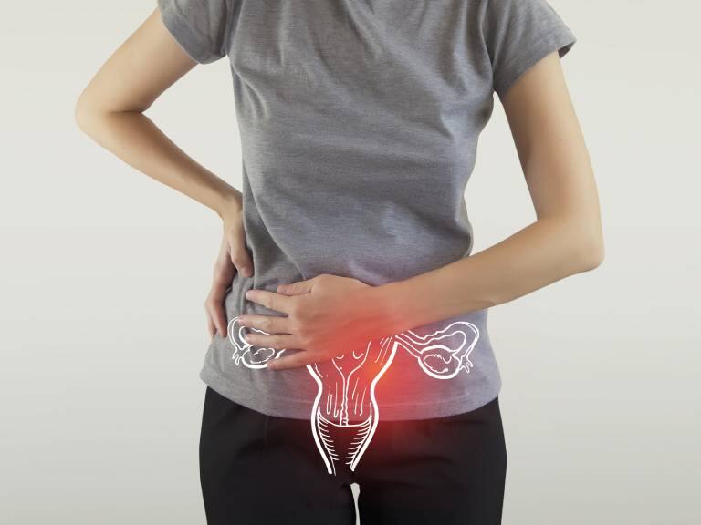 Descubren un tratamiento prometedor para la endometriosis basado en antibióticos