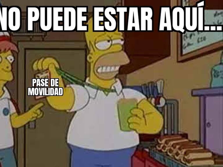 Opiniones encontradas: los memes y comentarios que dejó el anuncio del «pase de movilidad»