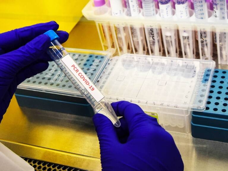 Covid en Chile: casos nuevos disminuyen más de un 50% en las últimas dos semanas