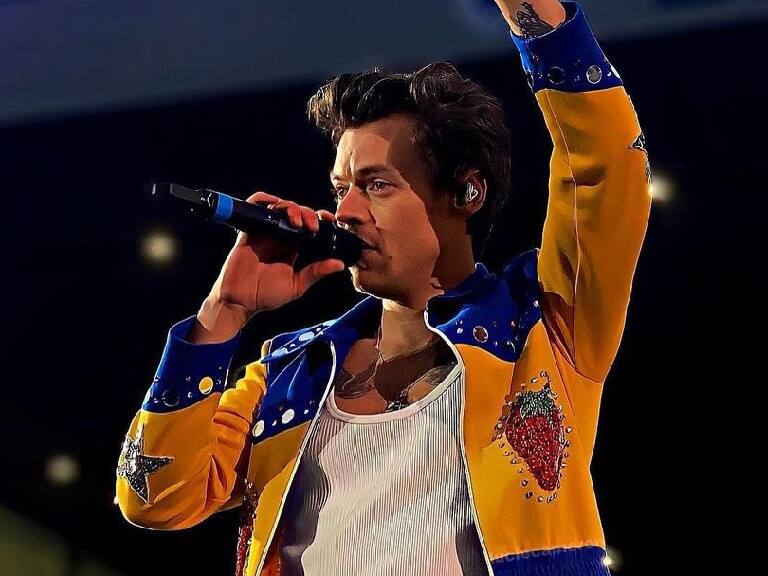 Pánico en show de Harry Styles: un hombre se cayó desde la grada superior hacia la multitud