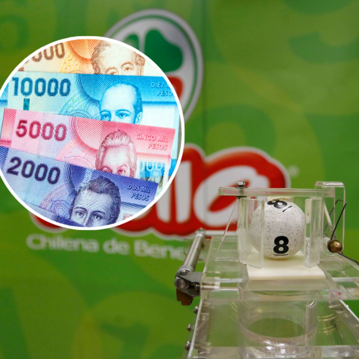 Ganadores aún no cobran sus $3 millones: consulta si tu RUT ganó en La Suerte de Ser Chileno 2024