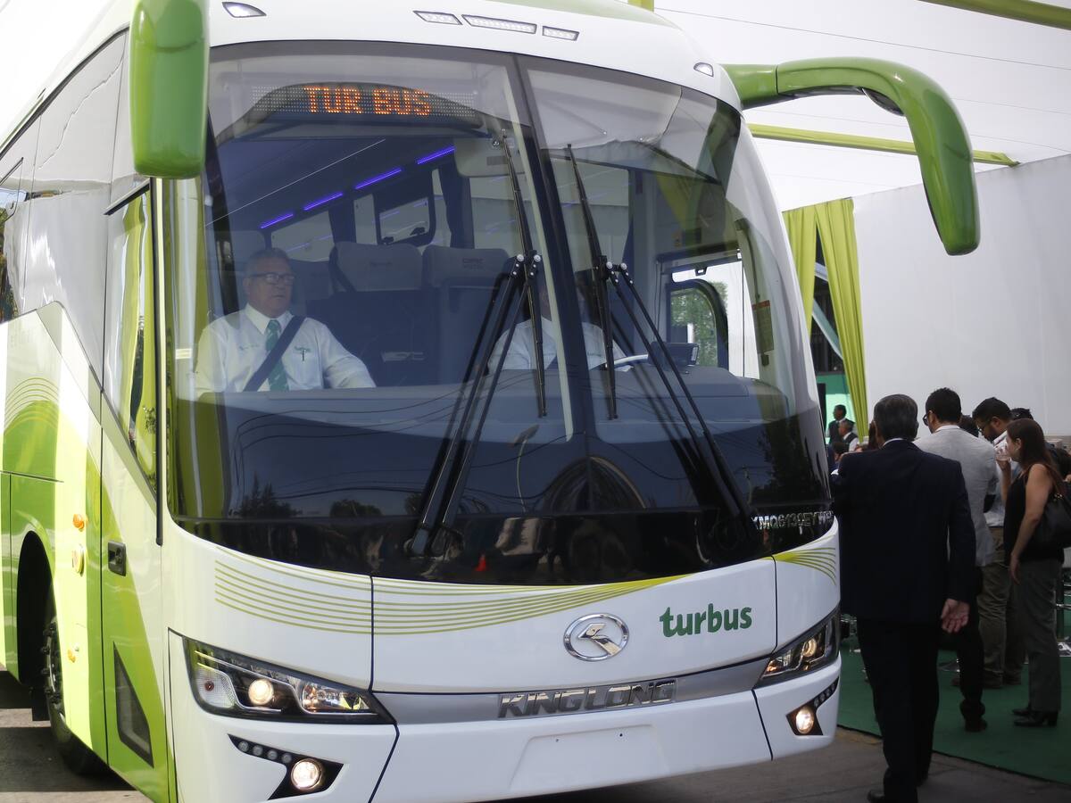 Turbus informó que suspenderá sus servicios desde el 31 de marzo por el coronavirus