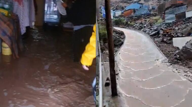 Capturas