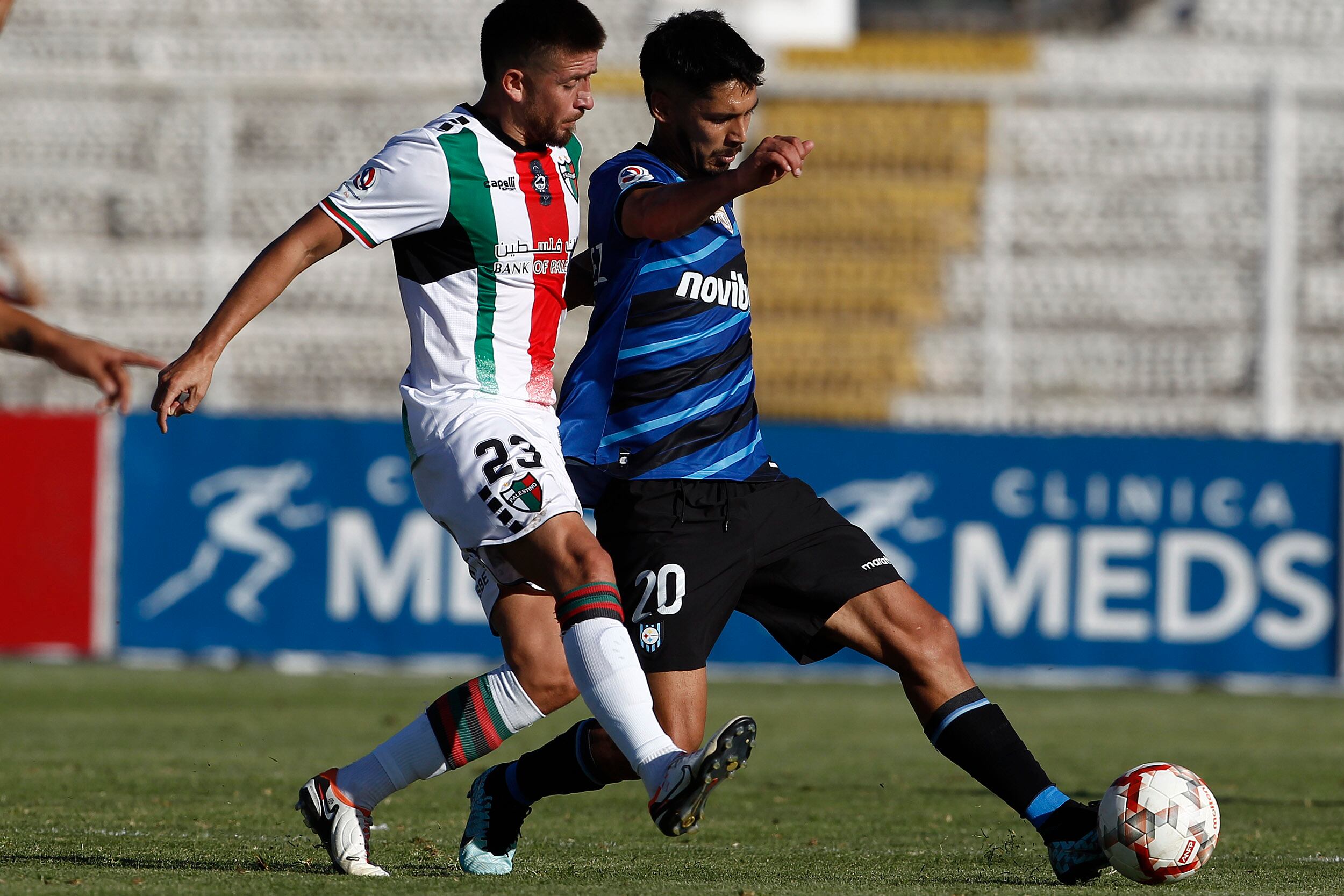 Difícil, pero no imposible: estos son los rivales de Palestino y Huachipato para los play-offs de la Copa Sudamericana | Agencia Uno