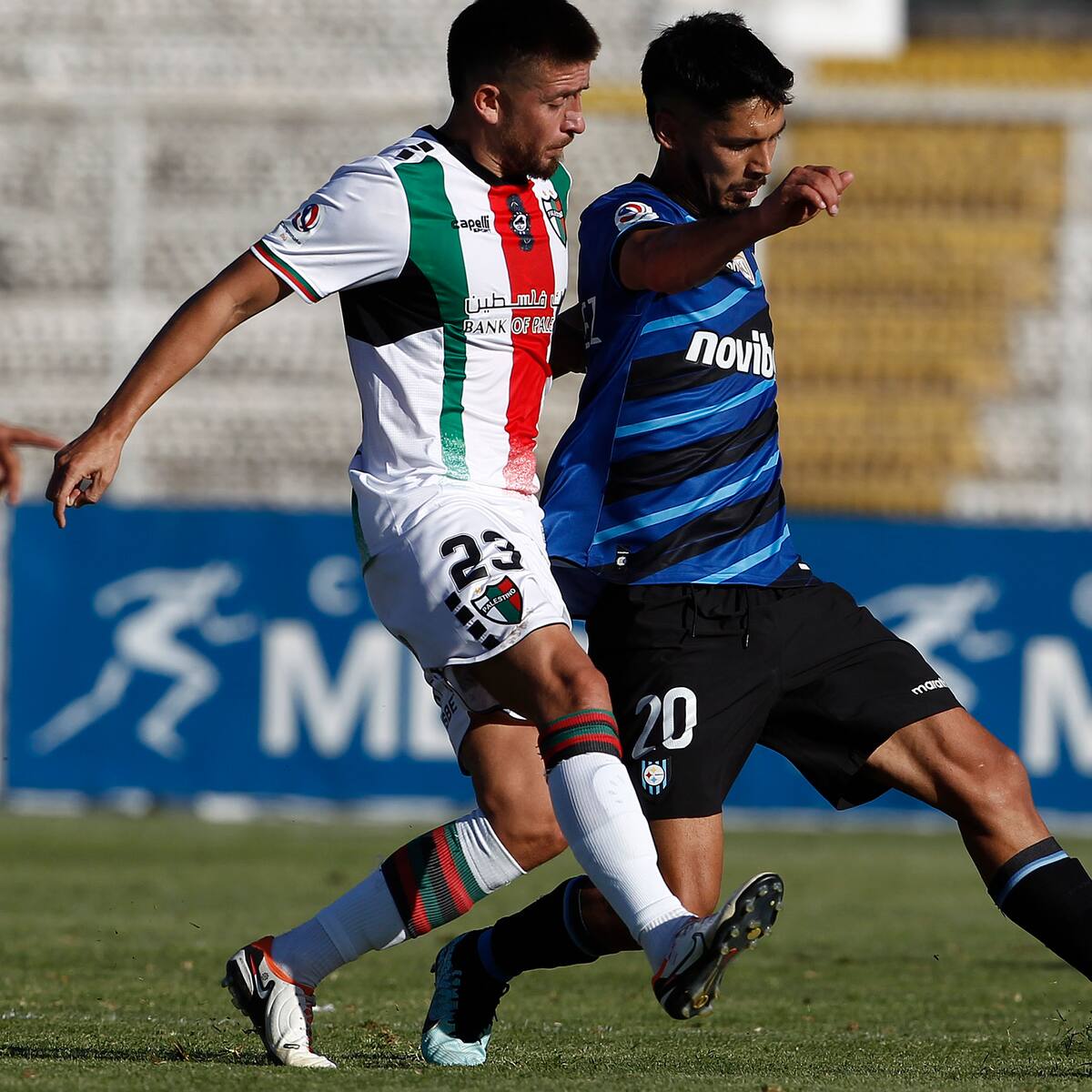 Difícil, pero no imposible: estos son los rivales de Palestino y Huachipato para los play-offs de la Copa Sudamericana