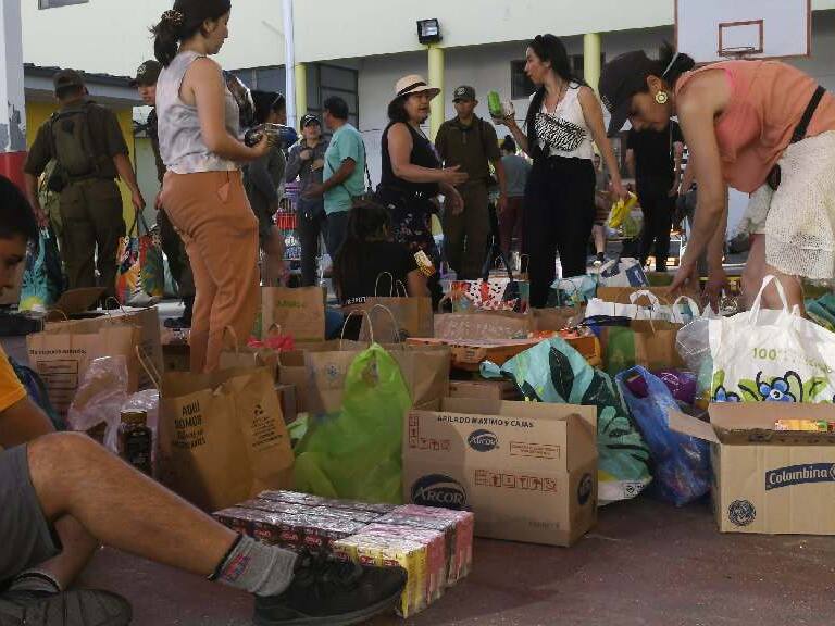 Campañas buscan ayudar a las mascotas y a los niños afectados por el incendio en Viña del Mar