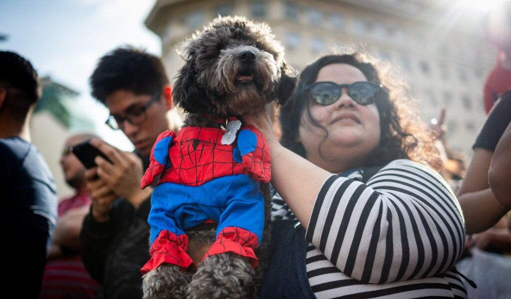 Miles de Spiderman llegaron al obelisco este domingo / Foto: Getty Images