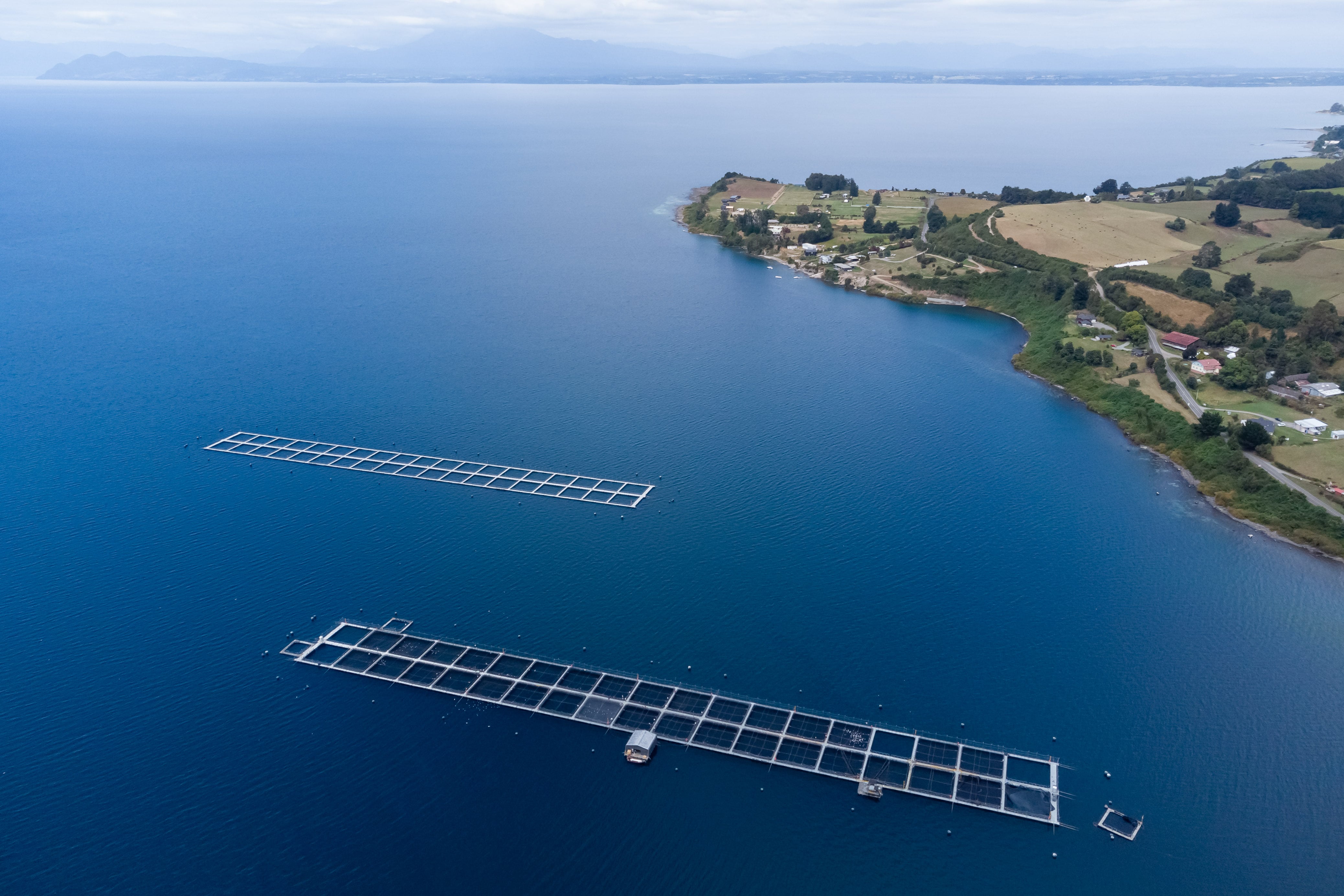 28 DE FEBRERO 2023 / TOTORAL
Instalaciones de jaulas de cultivo de salmones en el lago Llanquihue en la comuna de Totoral.
FOTO: FELIPE CONSTANZO / AGENCIAUNO