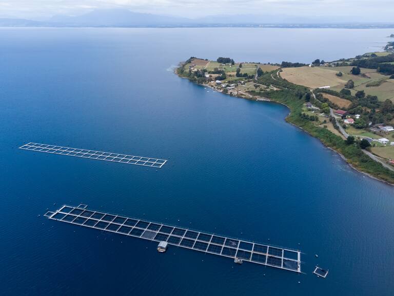 28 DE FEBRERO 2023 / TOTORAL
Instalaciones de jaulas de cultivo de salmones en el lago Llanquihue en la comuna de Totoral.
FOTO: FELIPE CONSTANZO / AGENCIAUNO