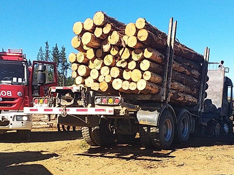 Referencial archivo Agencia Uno.