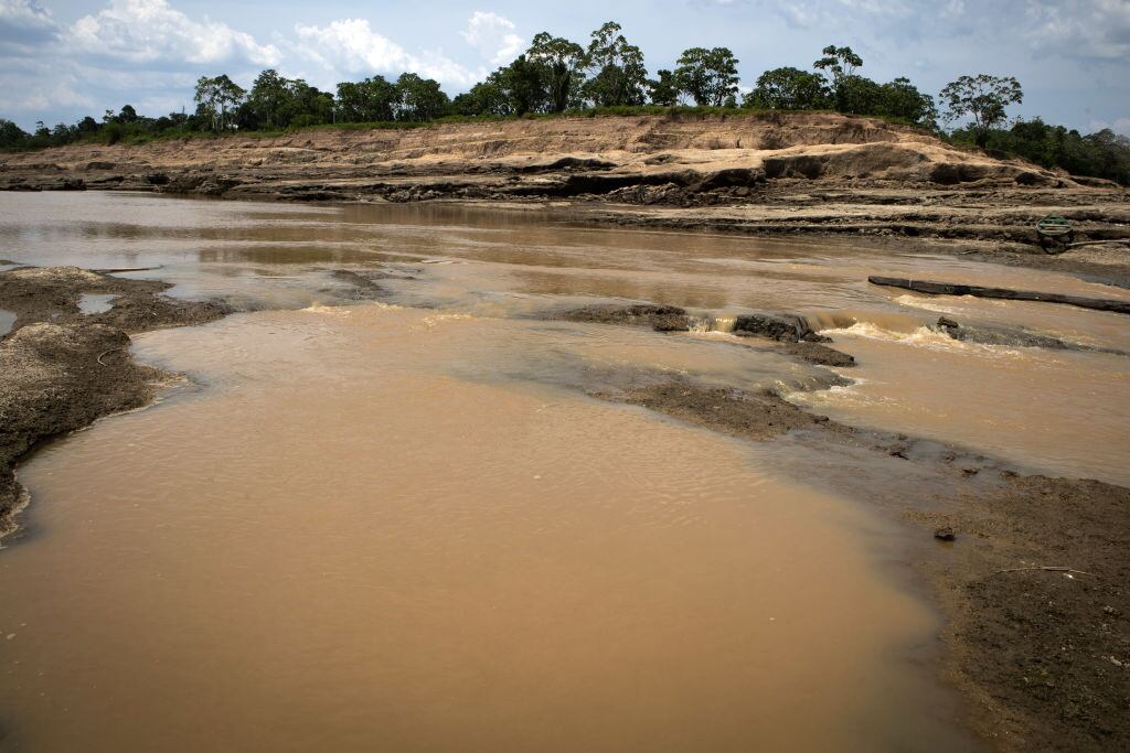 La destrucción que deja el hombre al deforestar el Amazonas en Brasil