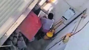 Cursan sumario sanitario contra restaurante en Calama por denuncia de faenamiento de perros