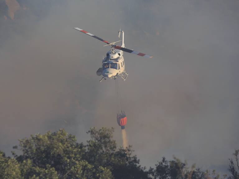 Conaf descarta disparos contra voluntarios que combatían incendio forestal en Tirúa: "Eso no ha ocurrido"