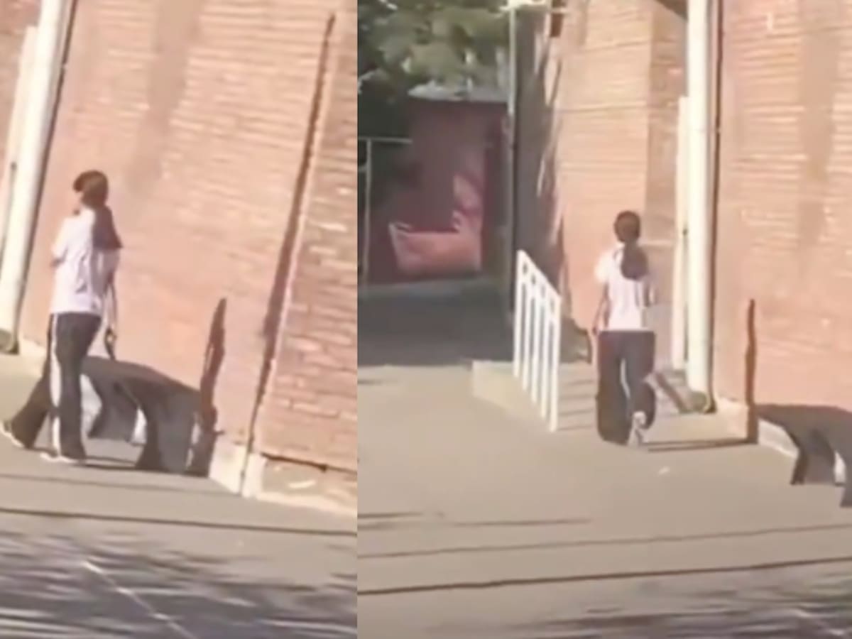 Estudiante de 14 años ingresó armada a colegio y efectuó disparos al aire en Argentina