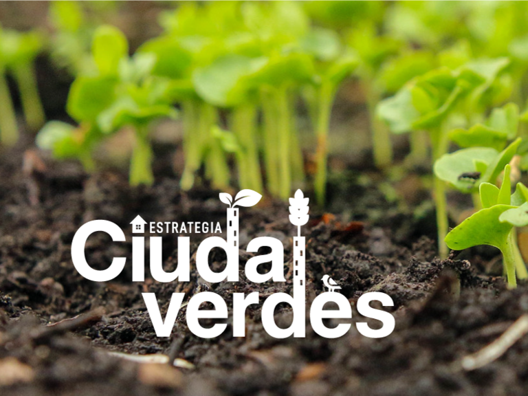 Ciudades verdes: la iniciativa liderada por la FAO para abordar las problemáticas del cambio climático