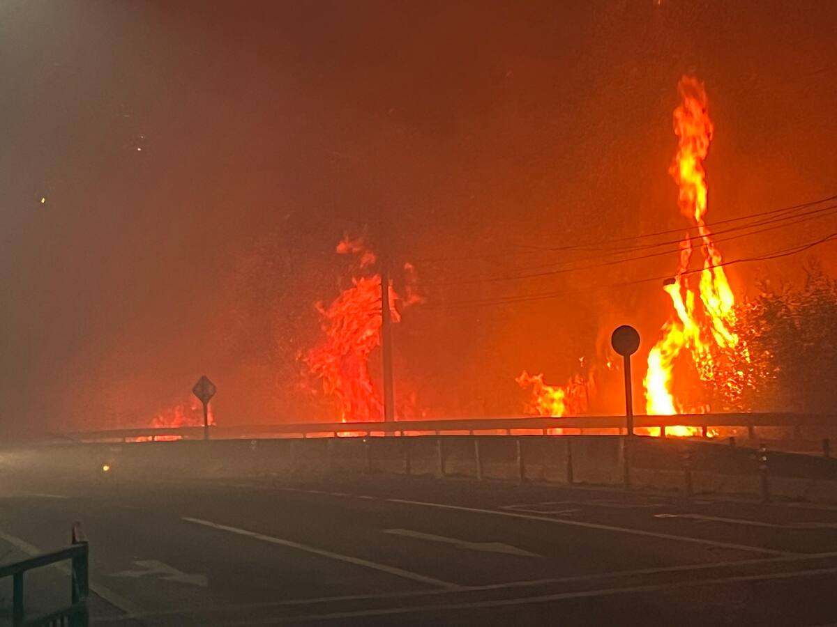 Cubrió el cuerpo de su vecino para que nadie lo viera: el crudo testimonio desde el incendio forestal que golpeó a Penco