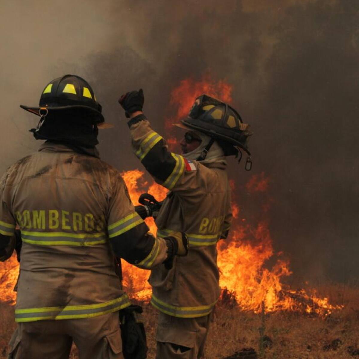 Incendio forestal fuera de control en San Pedro: hay varias viviendas destruidas