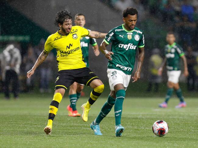 Fernando Neto de Sao Bernardo en un partido de fútbol ante Palmeiras